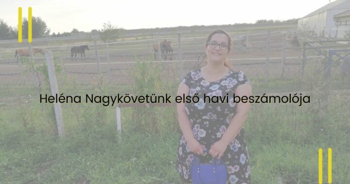 Potzak- Szétnyílt hasizom – Heléna Nagykövet