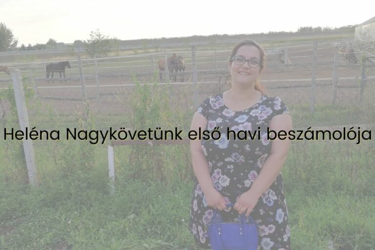 Potzak- Szétnyílt hasizom – Heléna Nagykövet