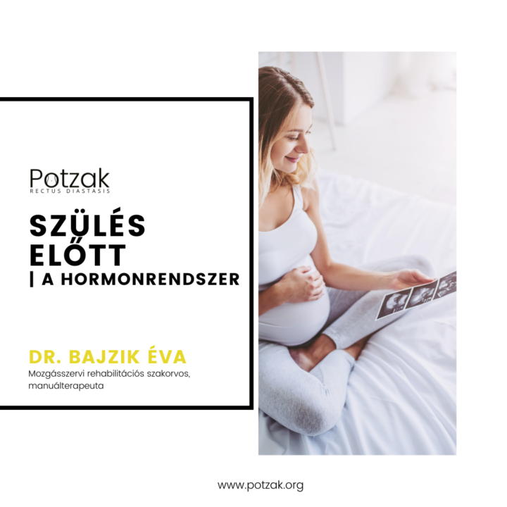 POTZAK Szétnyílt hasizom edzésprogram – Mi történik a testeddel terhesség alatt – Hormonrendszer